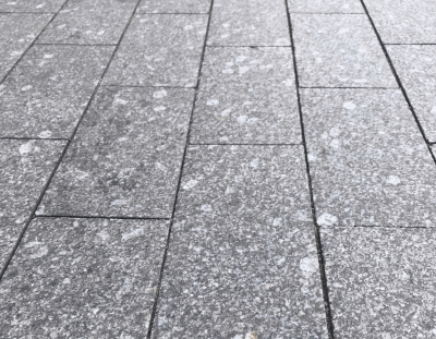 Kosztka granitowa cięta Kośmin (2).png