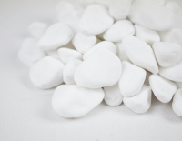 Otoczak biały (2).png