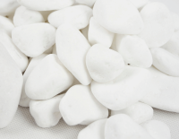 Otoczak biały (6).png