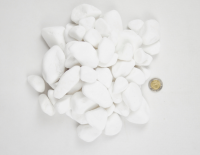 Otoczak biały (8).png