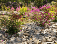 Kora kamienna 10-30 mm (3).png