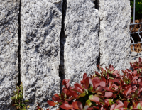 palisada granitowa łupana (5).png