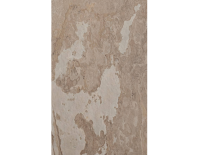 autumn cream (3).png