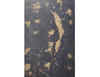 black slate gold (6).png