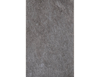 silver galaxy (2).png