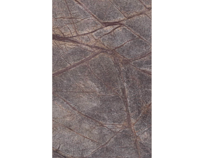 rainforest brown (2).png