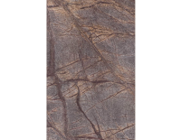 rainforest brown (3).png