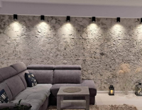 fosil grannit (3).png