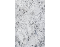 fosil grannit (5).png