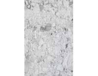 fosil grannit (6).png