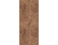 gold copp.png