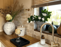 Trawertyn Light Mix 30,5x10x1 (2).png