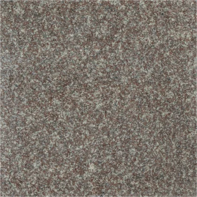 G664 poler.webp