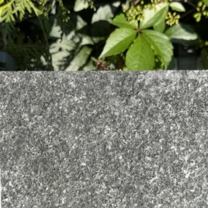 Płyta granitowa tarasowa płomieniowana czarna G3099 (60x60x2)