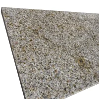 polerowana żółta stopnica granitowa polierte gelbe Granit-Treppenstufe (3).webp