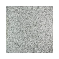 hellgraue Granit-Platte (2).webp