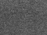 75e6d9059155cc2d981156277d724d10